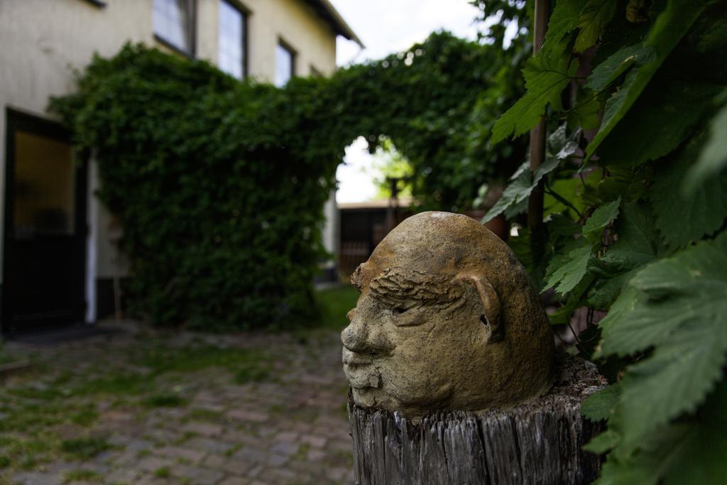 Pension Altstadt Borna Buitenkant foto