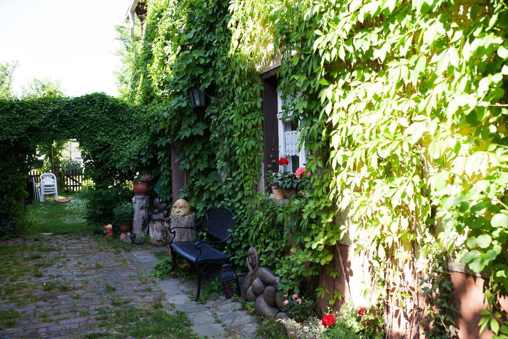 Pension Altstadt Borna Buitenkant foto