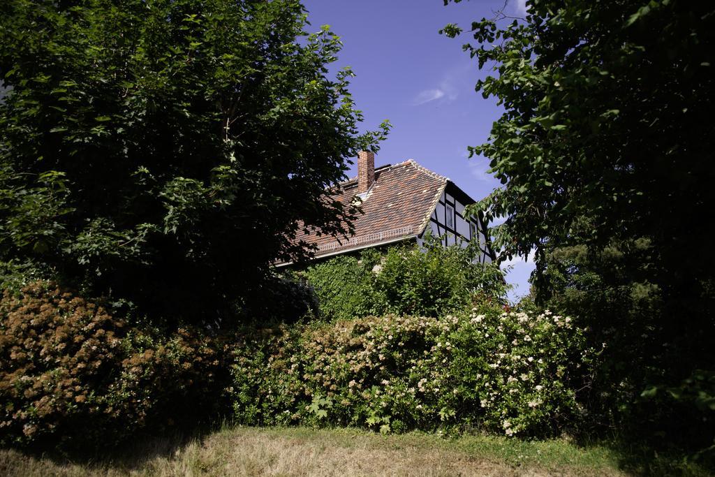 Pension Altstadt Borna Buitenkant foto