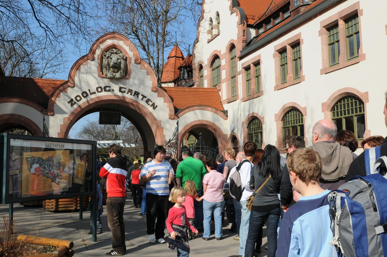 Pension Altstadt Borna Buitenkant foto