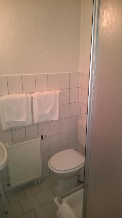 Pension Altstadt Borna Buitenkant foto